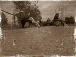Fotoblog muffffinki