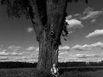Fotoblog zyciesiekreci