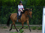 Fotoblog miedwianscy