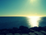 Fotoblog withoutmarmolade