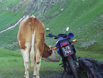 Fotoblog grzesiec