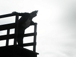 Fotoblog koozaaa