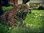 Fotoblog mrhoudini
