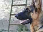 Fotoblog rafaelodz