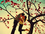 Fotoblog moonofmylife