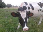 Fotoblog martula05