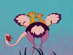 Fotoblog thelionking