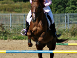 Kalif ;*