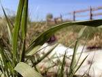 Fotoblog ryukku