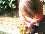 Fotoblog niepatrz96