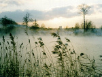 Fotoblog superja2