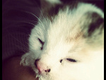 Fotoblog maciejuuuu