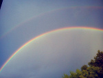 Fotoblog sentencedtoblues