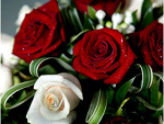 Fotoblog ejx3kochamx3cie
