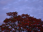 Fotoblog darksidephoto