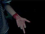 Fotoblog dyingdaily