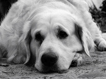 Fotoblog deszczoowa