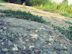 Fotoblog ewusiek1430