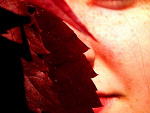 Fotoblog breena16