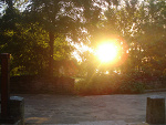 Fotoblog colorswallow
