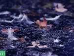 Fotoblog chisa