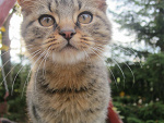 Fotoblog szuzii