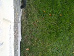 Fotoblog atrapakamienia