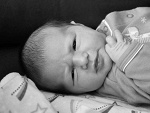 Fotoblog newlife2