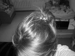 Fotoblog kamisxd1234