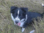 Fotoblog poluskaaa