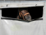 Fotoblog xinmyworldx