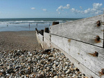 Fotoblog qwer121