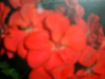 Fotoblog myyselff