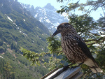 Fotoblog duuchaaa