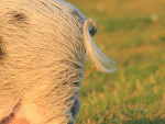 Fotoblog mayauel