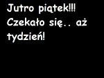 Fotoblog tcookochazelkii
