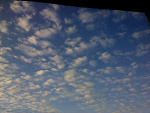 Fotoblog incuriosity