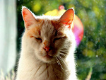 Fotoblog floydest
