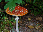 Fotoblog onnfullowedziela