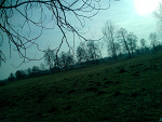 Fotoblog happinesskaa