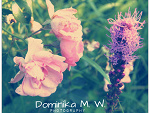 Fotoblog dmwphoto