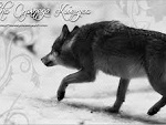Fotoblog pati20p