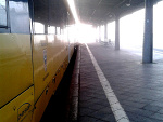 Fotoblog morpheo