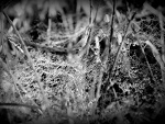 Fotoblog makassoullink