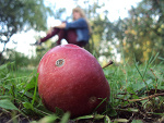Fotoblog 517350224