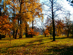 Fotoblog wolna