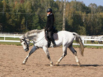 Wpis jodelka970