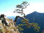 Fotoblog krakus77