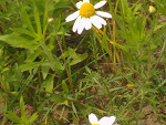 Fotoblog sweetkaaarola