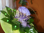 Fotoblog tarararara
